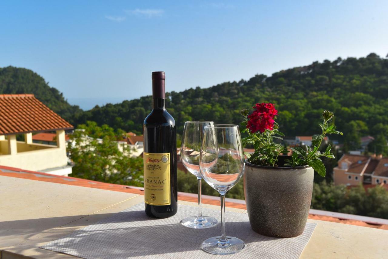 Guest House Jedro Petrovac Екстериор снимка